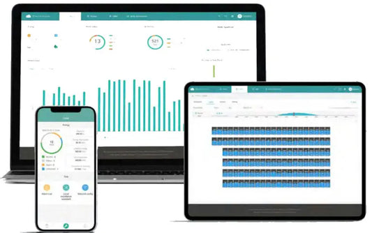 Monitorização de consumos e produção solar em plataforma digital, complementar aos dados da E-Redes